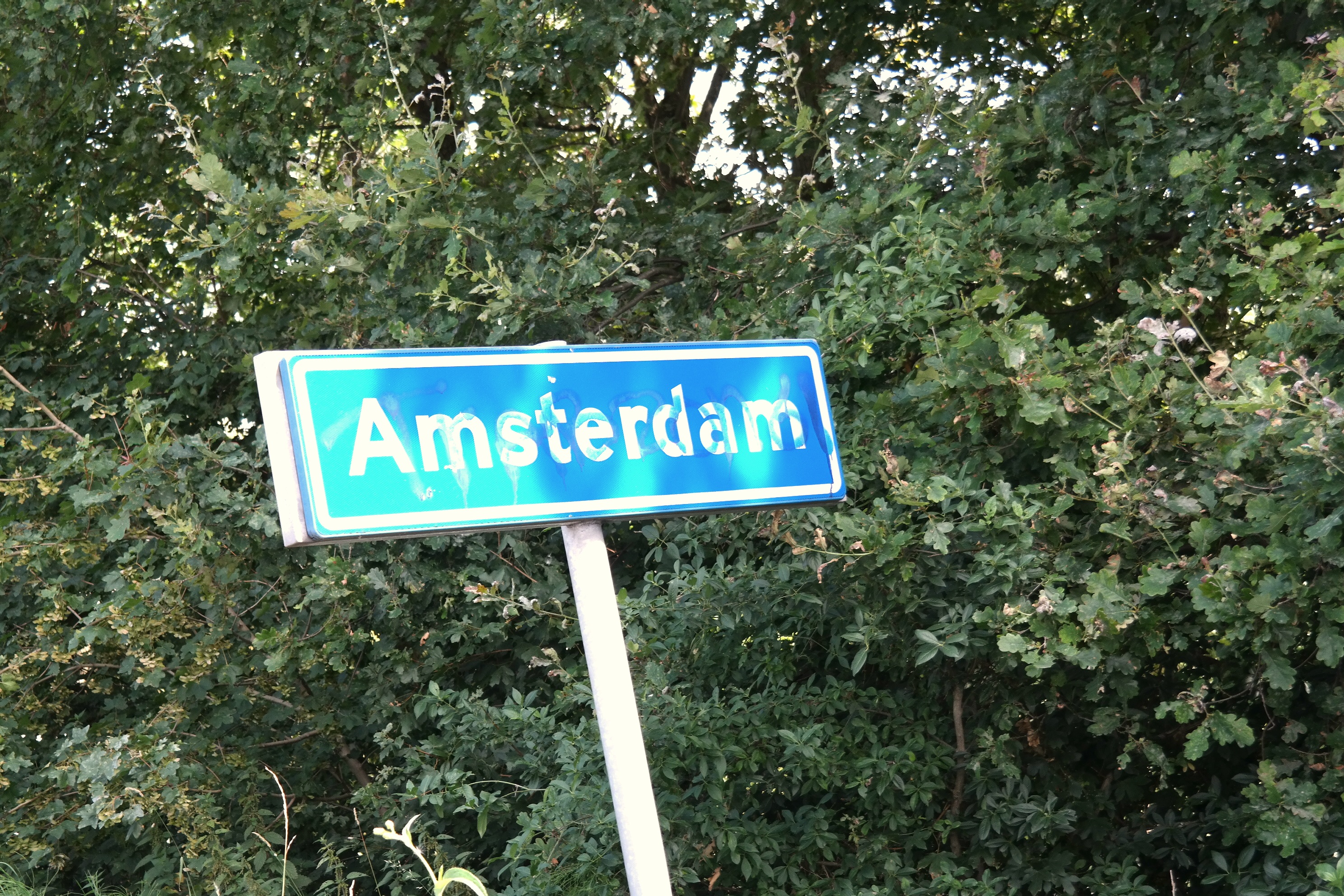 24 Stunden in Amsterdam… und auch noch am Meer // MissBB on tour